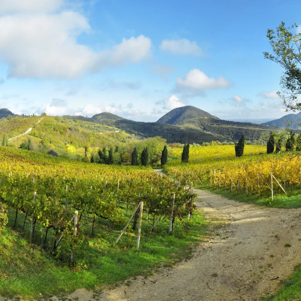 Den Spätsommer in den Colli Euganei entdecken