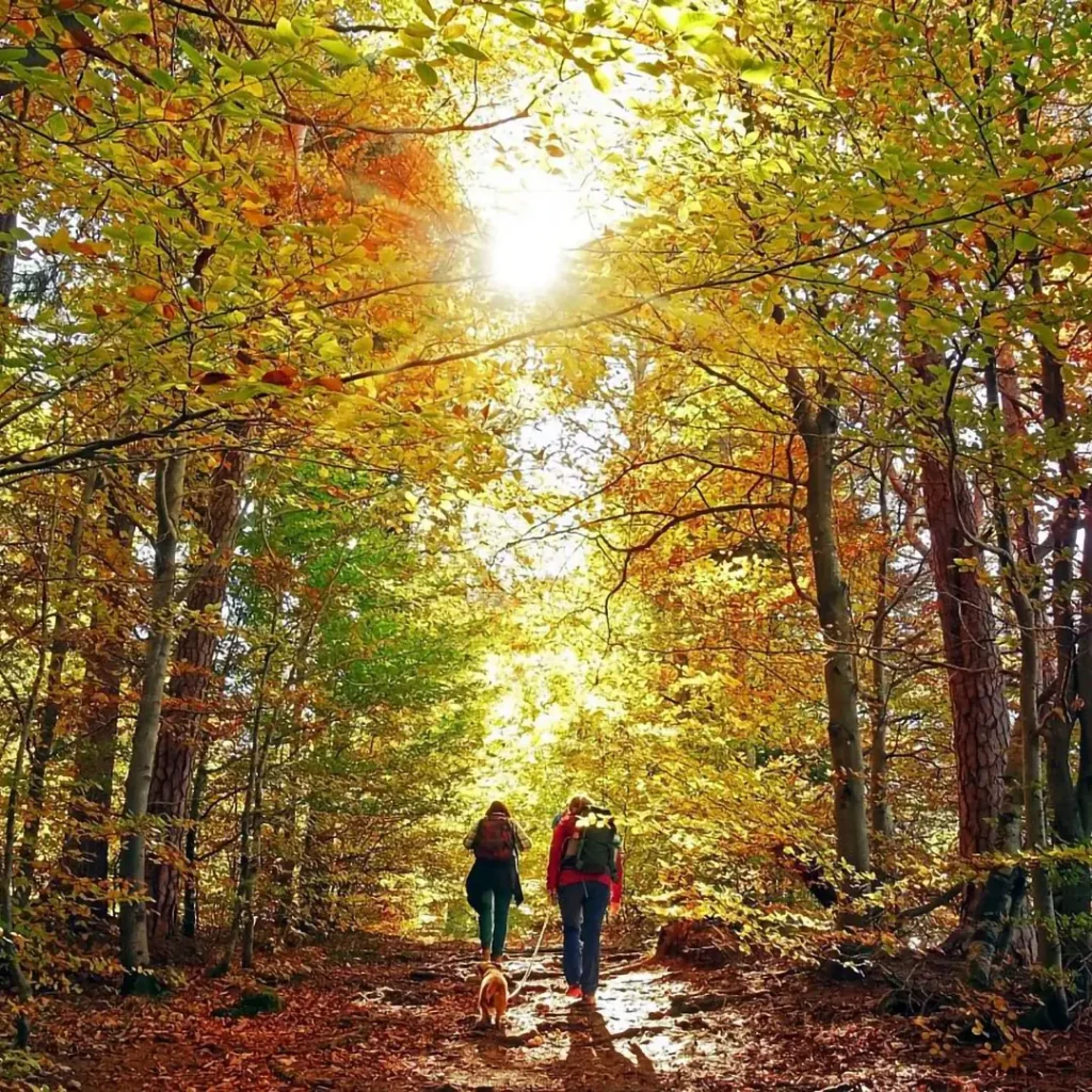 Goldener Oktober im Relilax